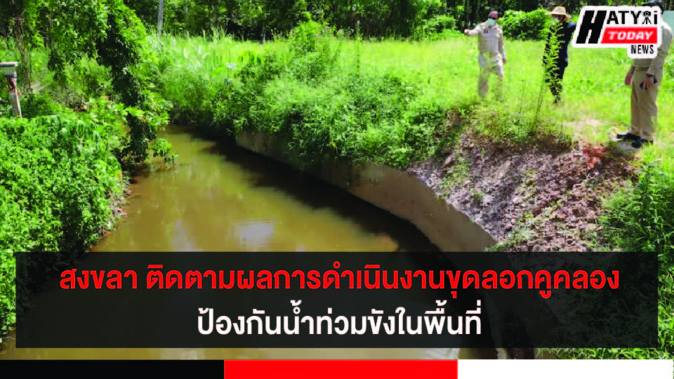 ปกข่าว 01