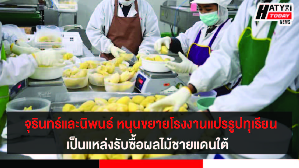 ปกข่าว 01