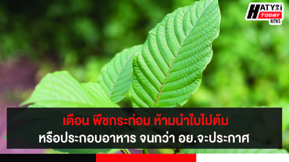 ปกข่าว 01