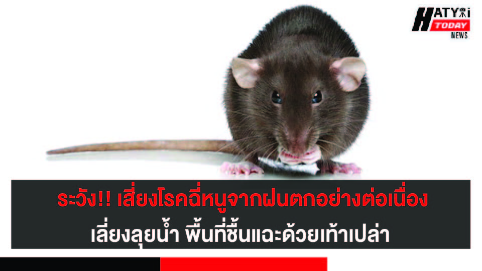 ปกข่าว 01