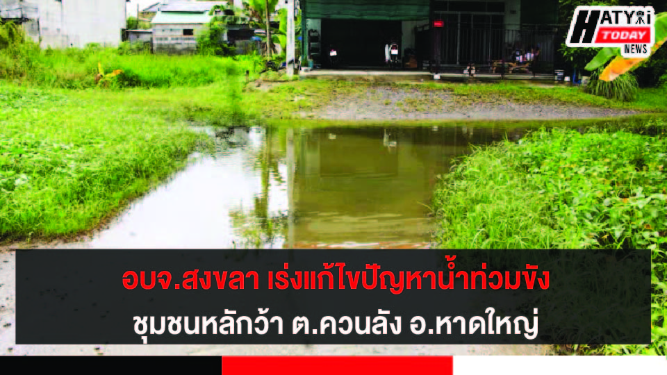 ปกข่าว 01