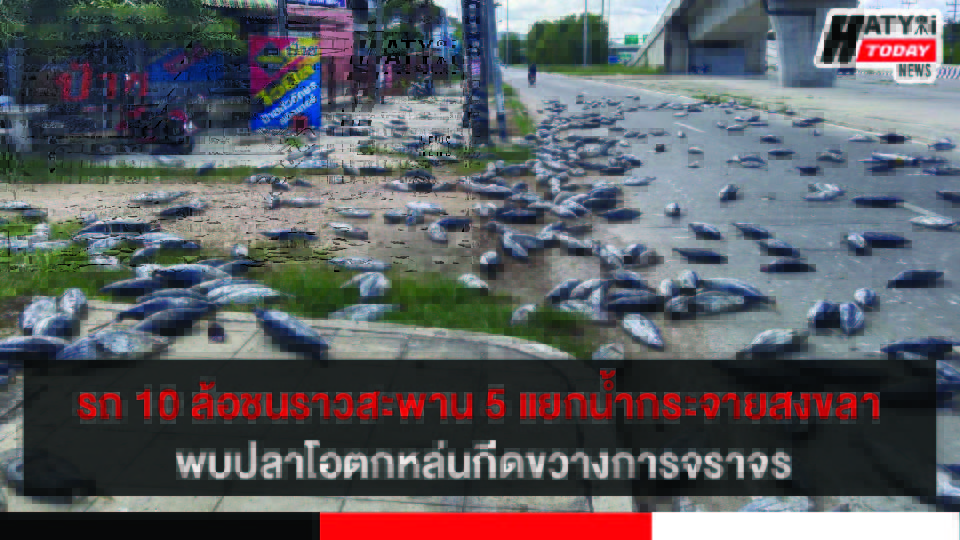 ปกข่าว 01
