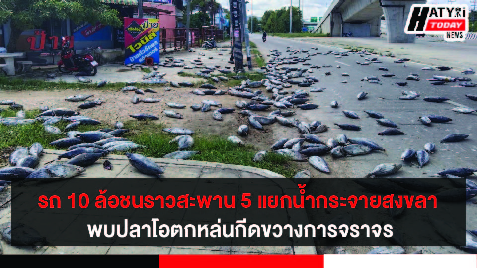 รถบรรทุก 10 ล้อชนราวสะพาน 5 แยกน้ำกระจายสงขลา พบปลาโอตกหล่นกีดขวางการจราจร