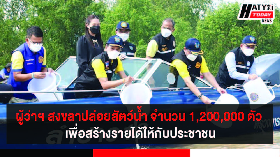 ปกข่าว 01