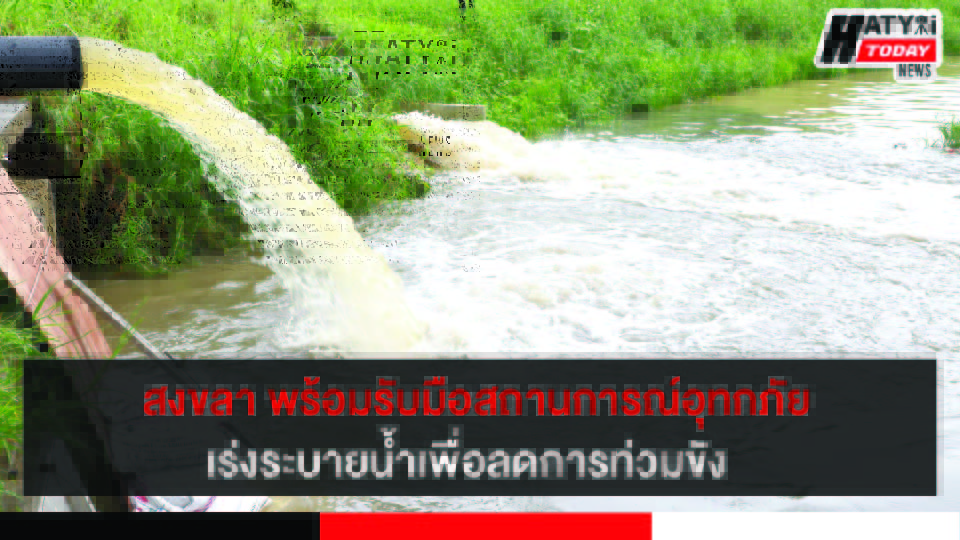 ปกข่าว 01