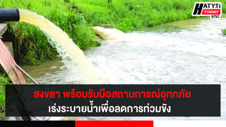 ปกข่าว 01