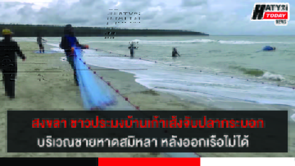 ปกข่าว 01