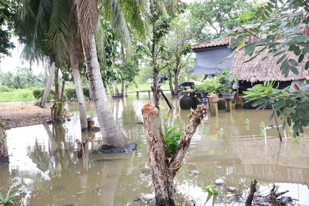 จังหวัดสงขลา มอบถุงยังชีพให้แก่ประชาชนอ.กระแสสินธุ์ หลังบ้านเรือนถูกน้ำท่วมขัง 3 262857042 438273787870427 193705743776126669 N