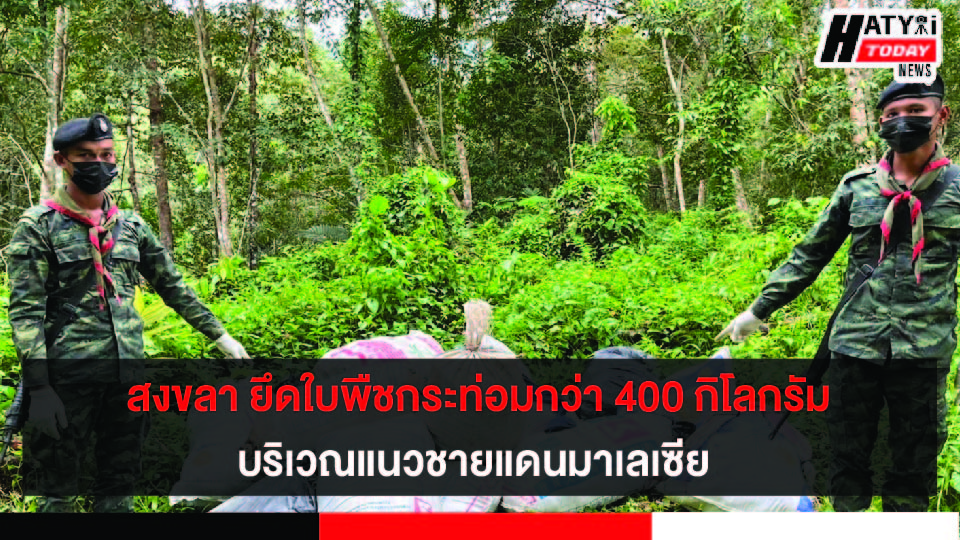 สงขลา กองกำลังเทพสตรียึดใบพืชกระท่อมสดกว่า 400 กิโลกรัม บริเวณแนวชายแดนมาเลเซีย