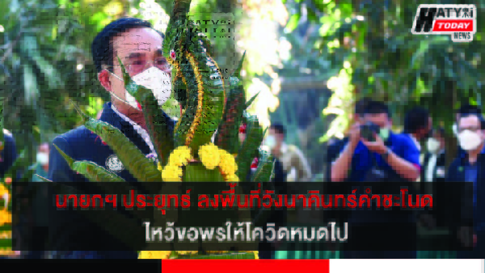 ปกข่าว 01