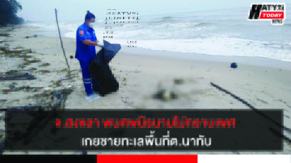 ปกข่าว 01