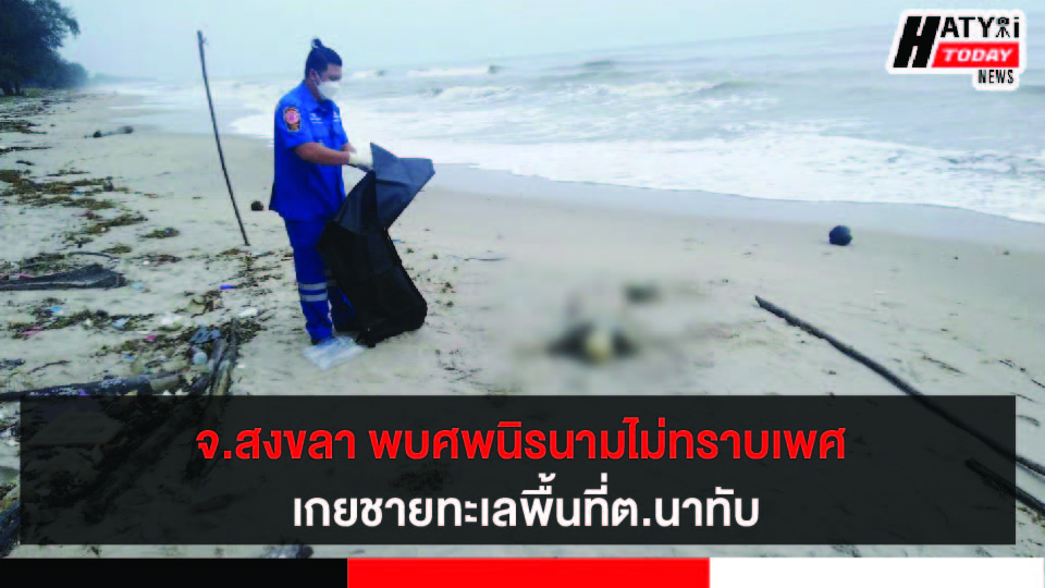 ปกข่าว 01