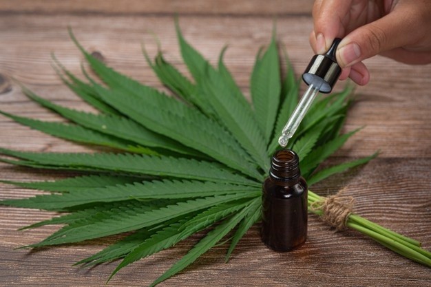 Hemp Oil Hemp Leaves Placed Wooden Floor 1150 25572