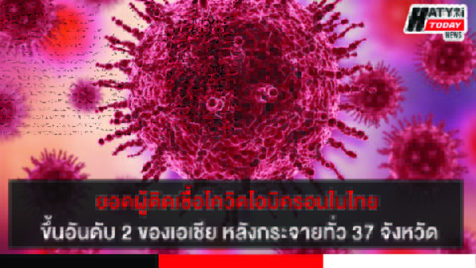 ปกข่าว 01