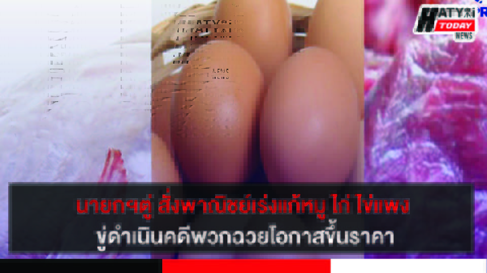 ปกข่าว 01
