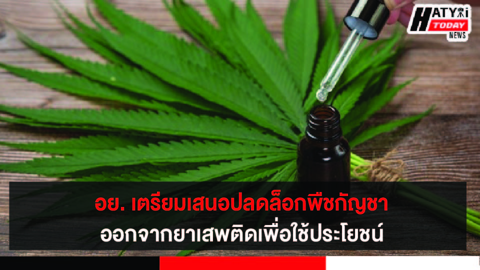 ปกข่าว 01