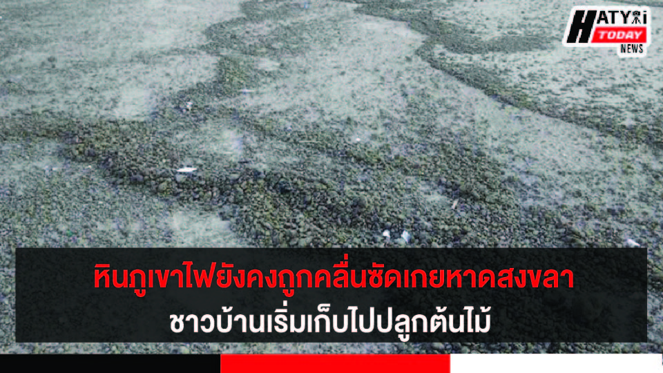 ปกข่าว 01