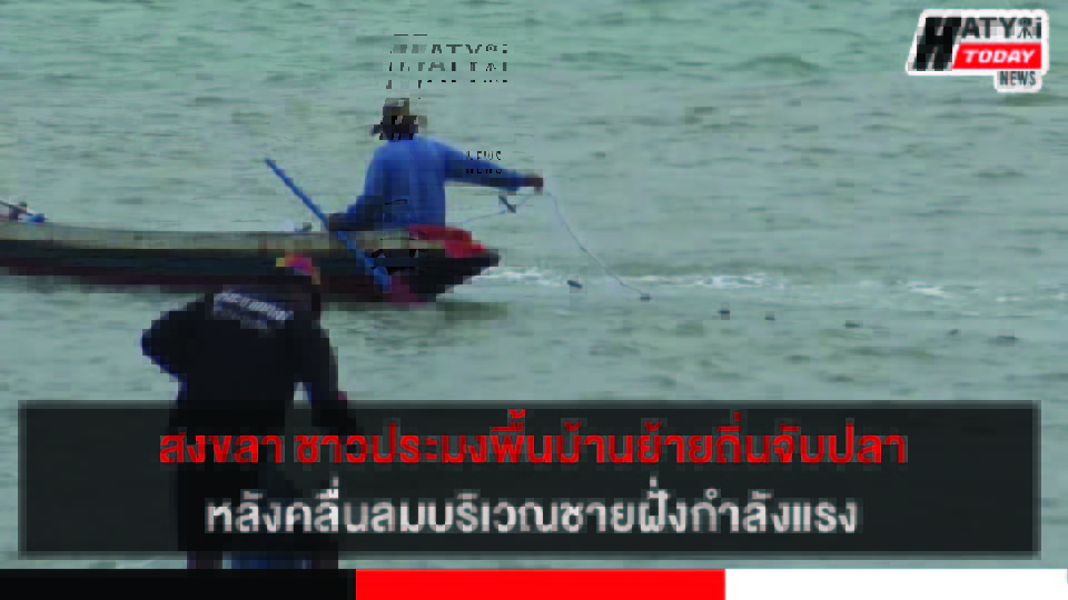 ปกข่าว 01
