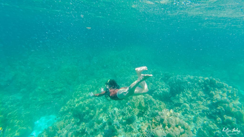 วันเดย์ทริปดำน้ำ เกาะหลีเป๊ะ Baanpun Travel 10 14 7