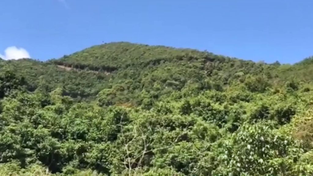 ผู้ว่าฯสงขลา เตรียมออกหมายจับบุกรุกโบราณสถานเขาแดงสิงหนคร รู้ตัวหนึ่งในผู้ก่อเหตุแล้ว 4 274870566 5504509339563952 6122080144586130320 N