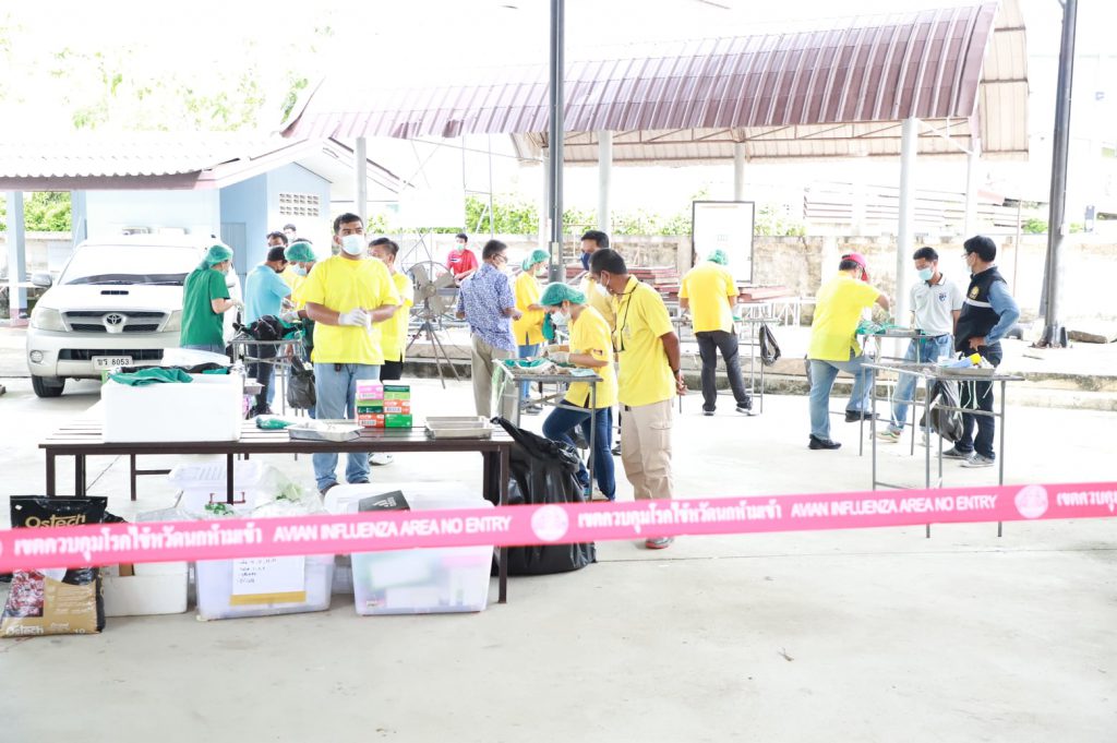 จังหวัดสงขลา รณรงค์ฉีดวัคซีนป้องกันโรคพิษสุนัขบ้าให้แก่สุนัขและแมว ทุกตัวในเขตพื้นที่ 5 277218839 507954987568973 8005718709757955518 N