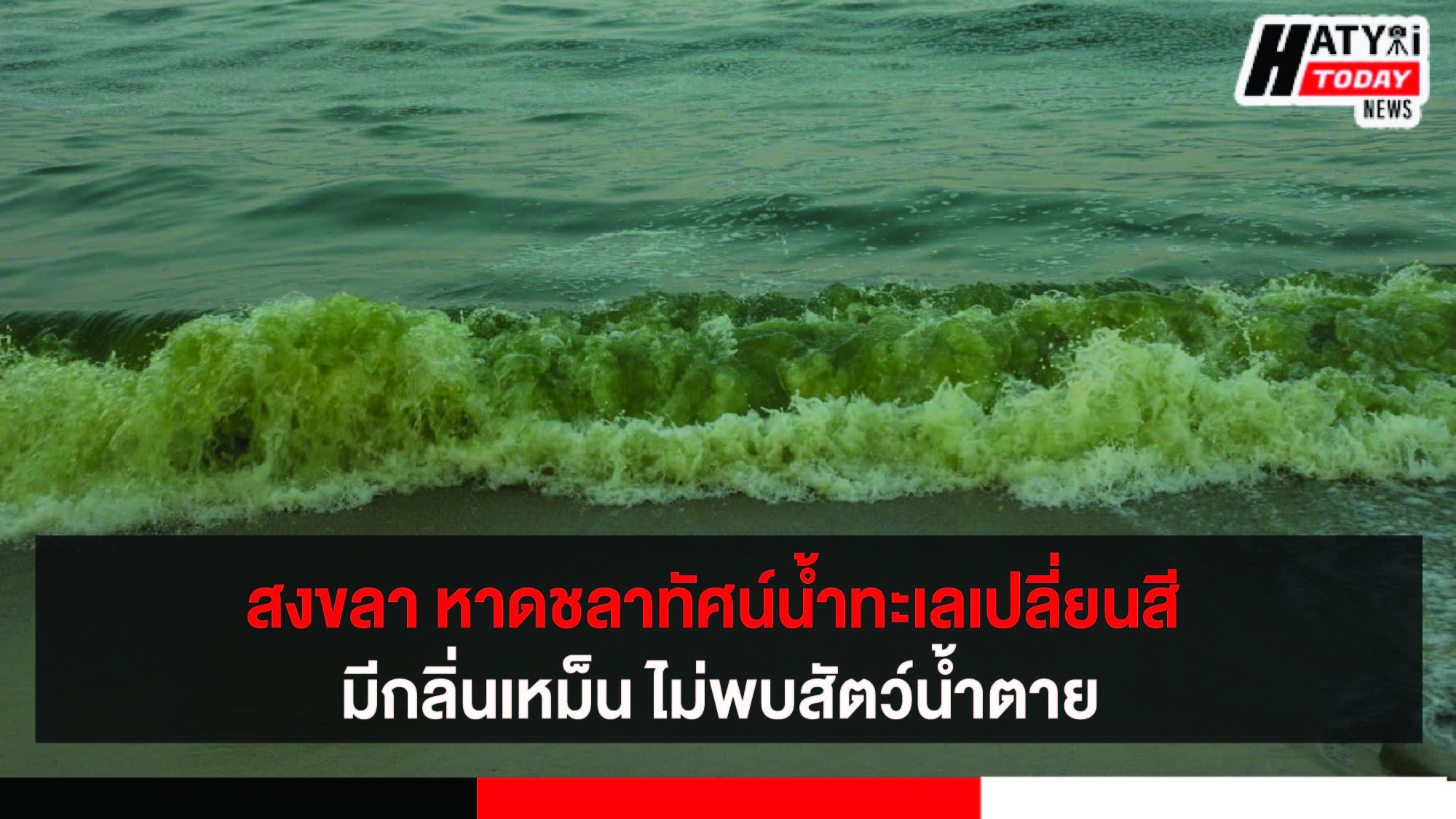 สงขลา หาดชลาทัศน์น้ำทะเลเปลี่ยนสี  ตลอดแนวชายฝั่งระยะทางประมาณ 2.5 กิโลเมตร