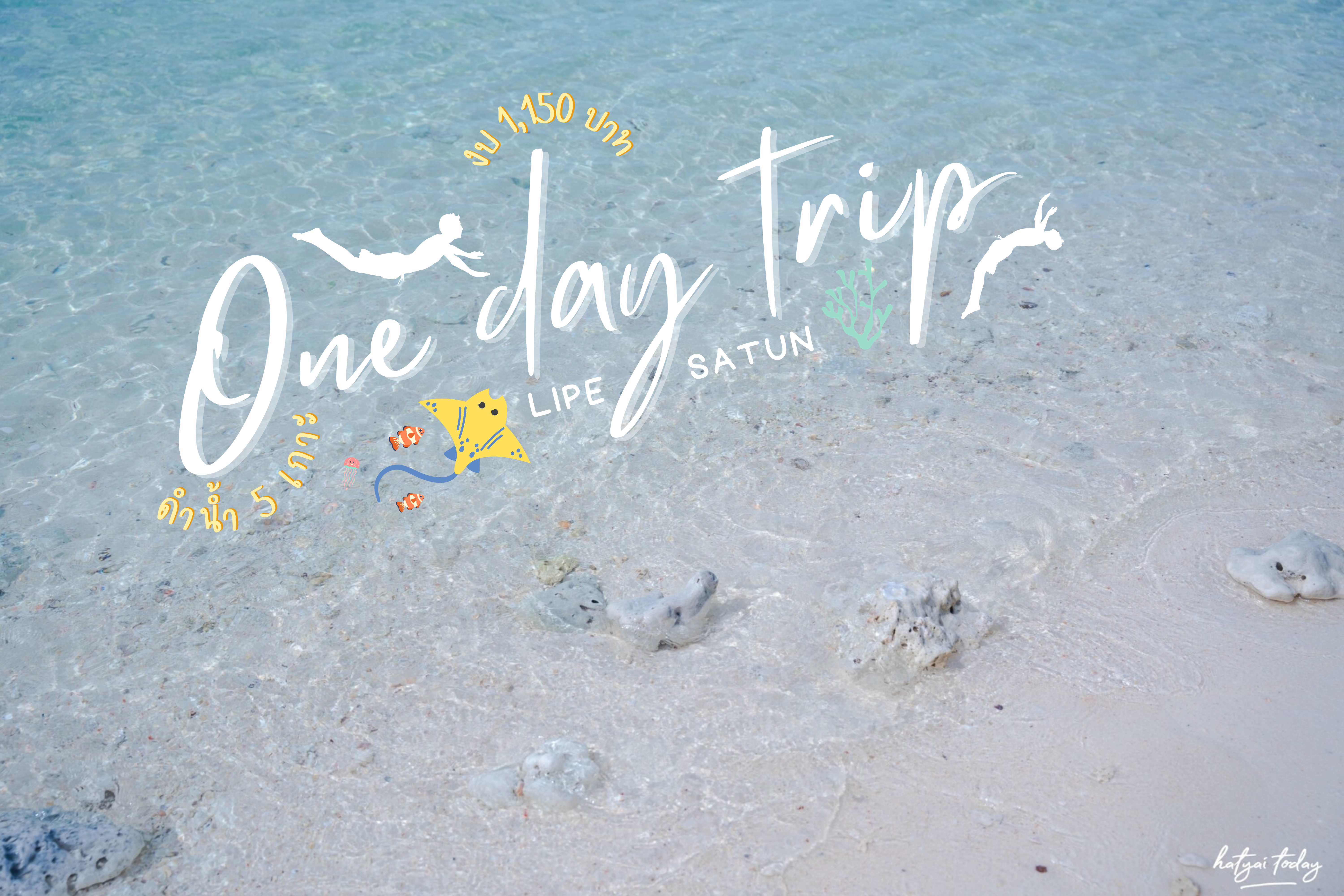 วันเดย์ทริปดำน้ำ เกาะหลีเป๊ะ Baanpun Travel