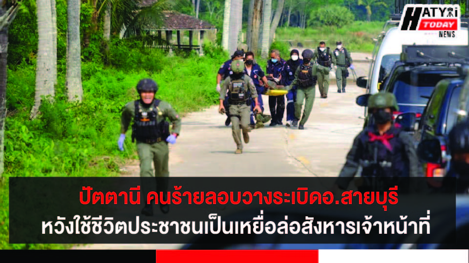 ปกข่าว 01