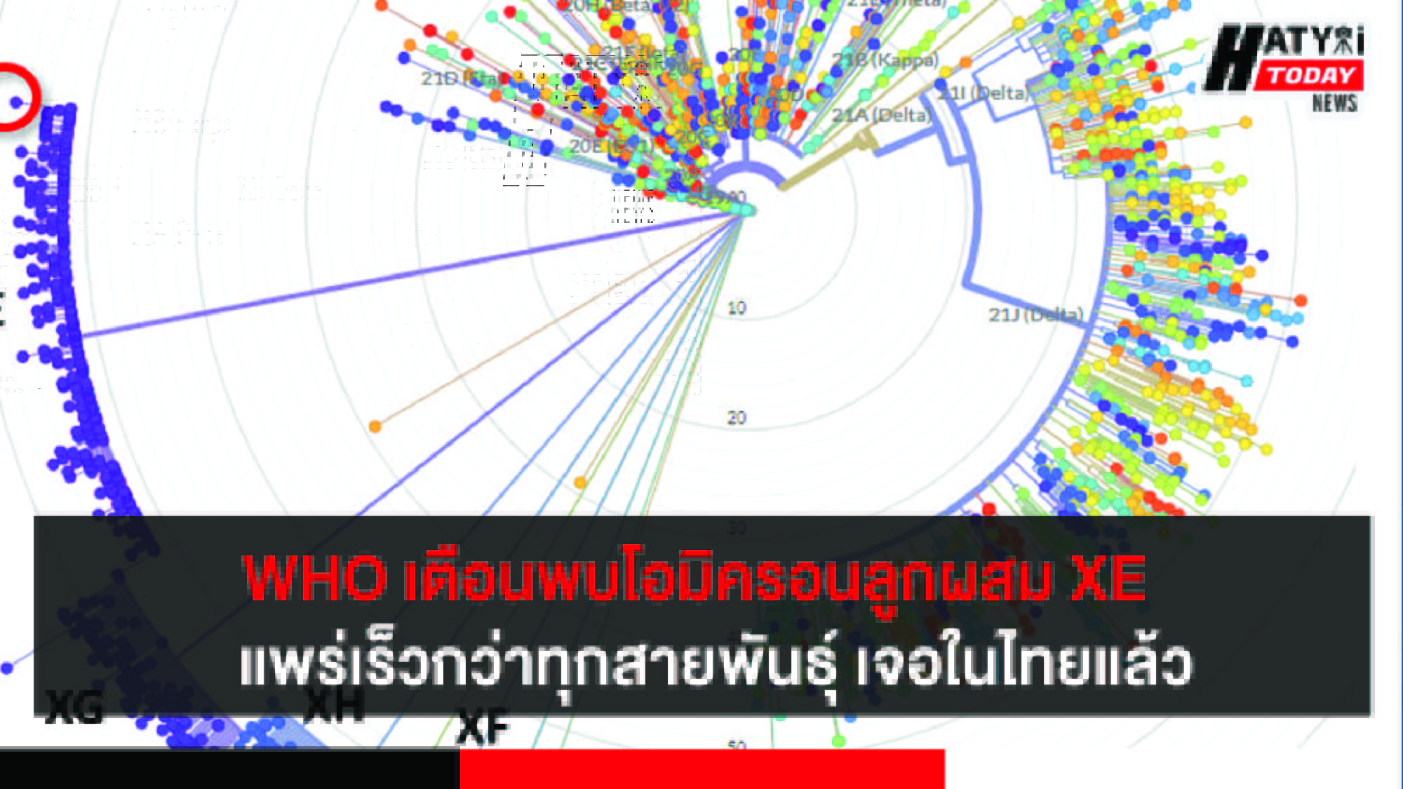 องค์การอนามัยโลก เตือนโควิดโอมิครอนสายพันธุ์ลูกผสม ‘XE’ ตรวจพบในไทยแล้ว 1 ราย