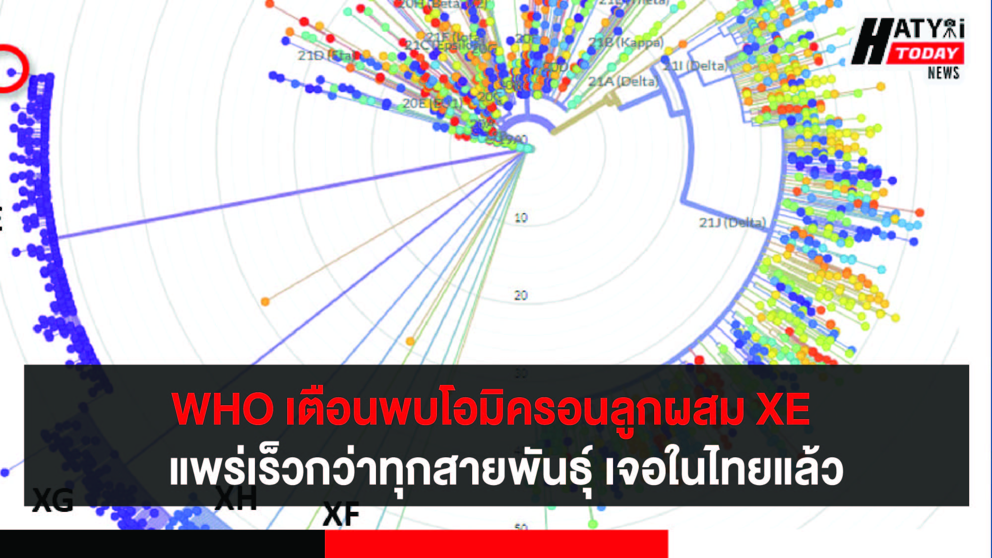 องค์การอนามัยโลก เตือนโควิดโอมิครอนสายพันธุ์ลูกผสม ‘XE’ ตรวจพบในไทยแล้ว 1 ราย