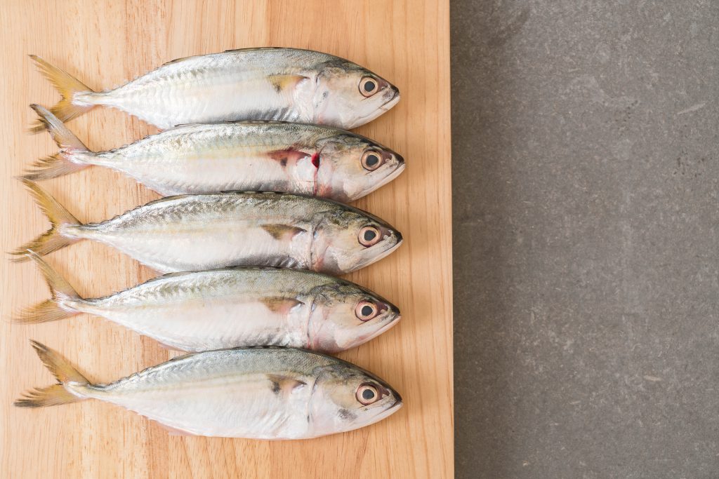 Fresh Mackerel