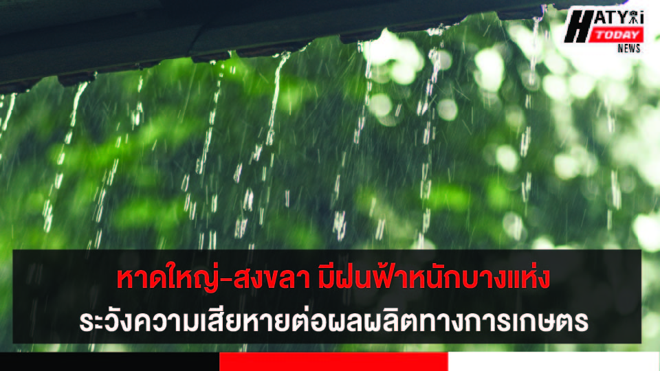 สงขลา มีฝนฟ้าคะนองร้อยละ 40 ของพื้นที่ กับมีฝนตกหนักบางแห่งระวังความเสียหายที่จะเกิดต่อผลผลิตทางการเกษตร