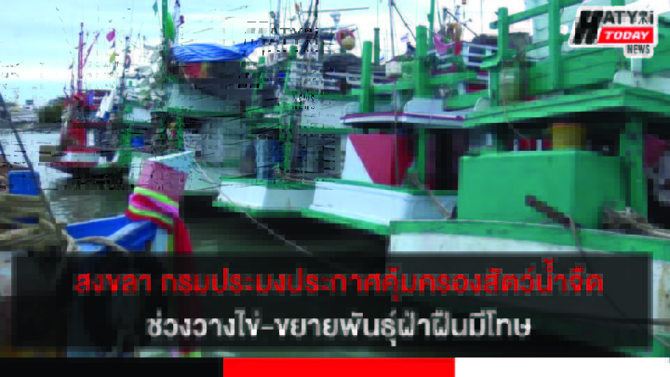 ปกข่าว 01