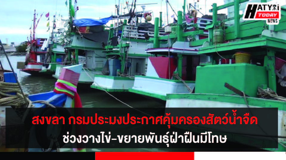 สงขลา กรมประมงประกาศคุ้มครองสัตว์น้ำจืดช่วงวางไข่-ขยายพันธุ์ ต้องทำประมงตามเงื่อนไข ฝ่าฝืนมีโทษ