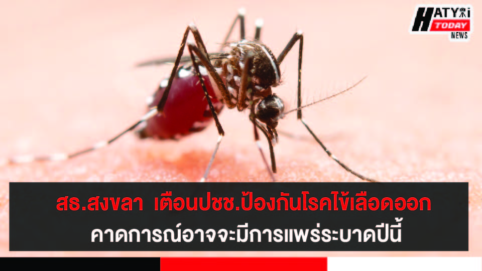 สธ.สงขลา  เตือนปชช.ป้องกันโรคไข้เลือดออก  คาดการณ์อาจจะมีการแพร่ระบาดปีนี้