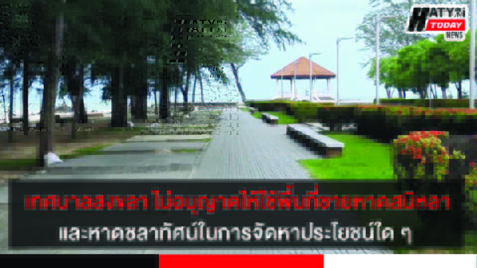 ปกข่าว 01