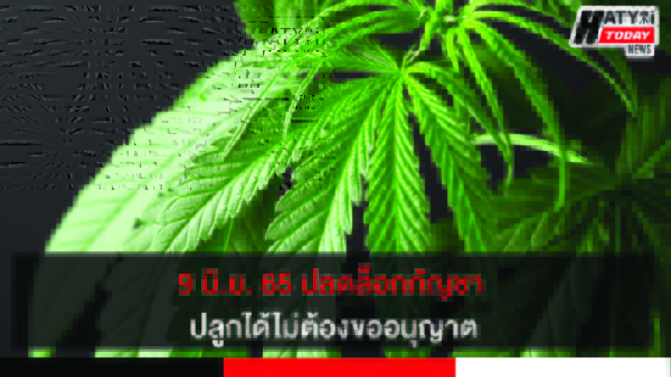 ปกข่าว 01