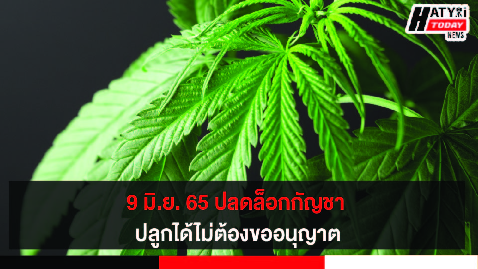 ปกข่าว 01