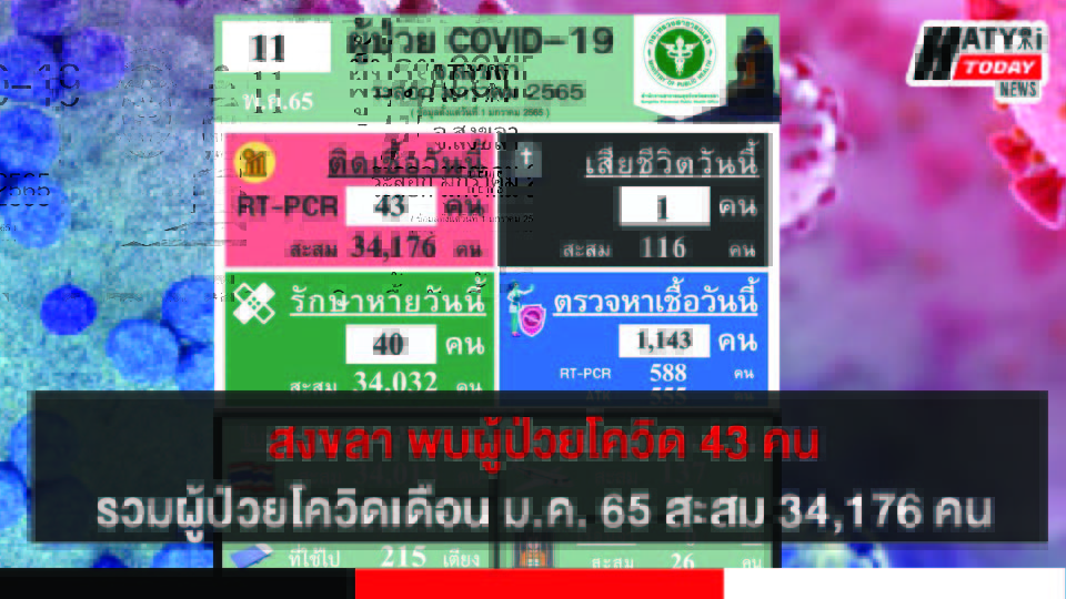 ปกข่าวโควิด 01
