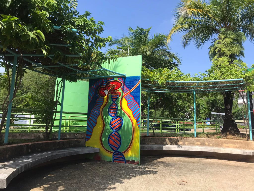 Hatyai Street Art สวนหย่อมธรรมนูญวิถี ปรับภูมิทัศน์ใหม่ 1 288282385 371022735130397 3448972058996957870 N