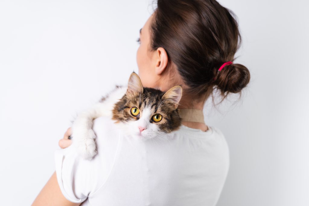 A Young Housewife In An Apron On A White Background Holds Her Beloved Pet, A Big Fluffy Cat, A Happy Family