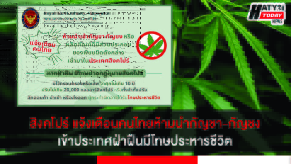 ปกข่าว 01