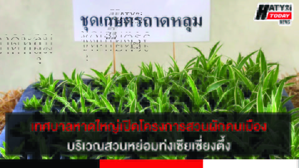 ปกข่าว 01