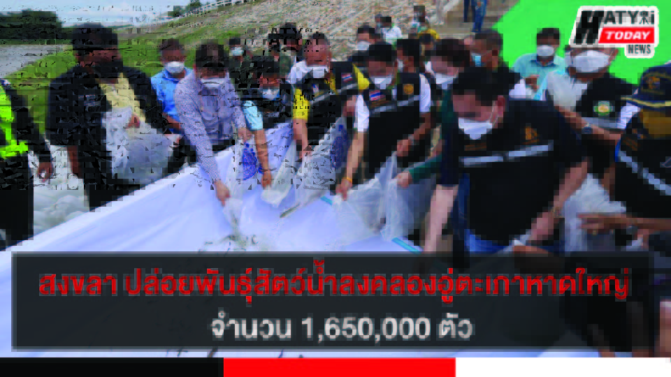 ปกข่าว 01