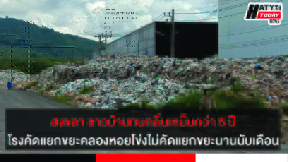 ปกข่าว 01