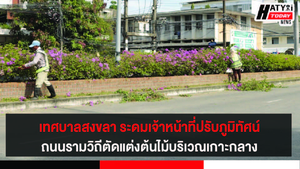 ปกข่าว 01