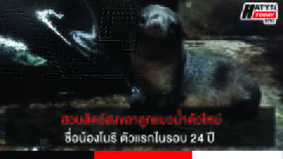 ปกข่าว 01