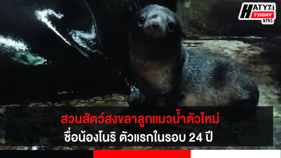 ปกข่าว 01