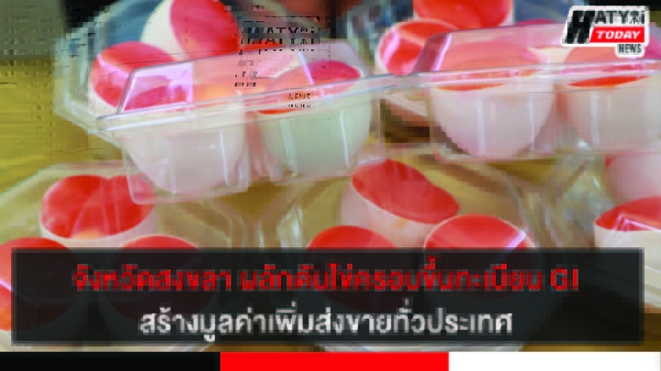ปกข่าว 01