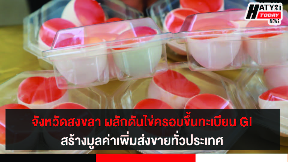 ปกข่าว 01